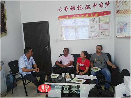 “宗富果业”裴宗富裴总为徐总出谋划策