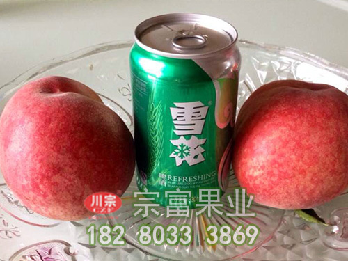 胭脂脆桃