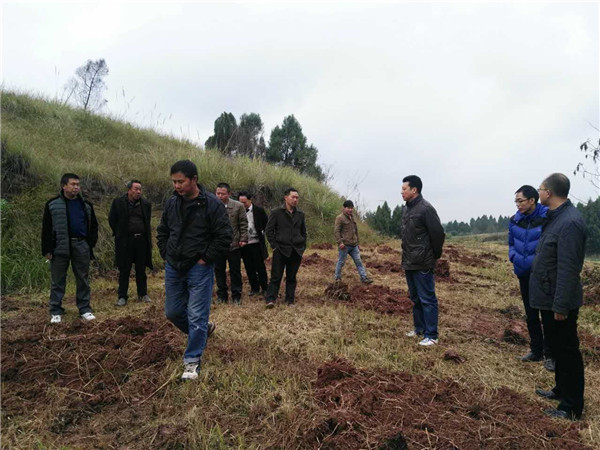考察李树苗基地现场图