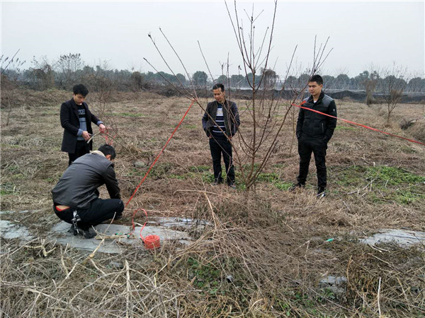 郑果技师现场指导李树苗修剪栽培技术